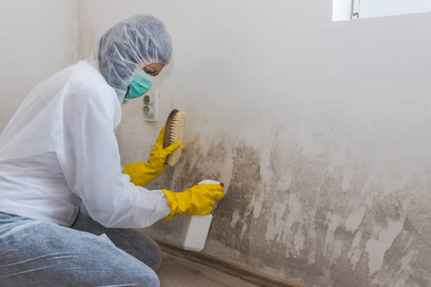 Best Office Mold Removal Services  in Fairmount, GA