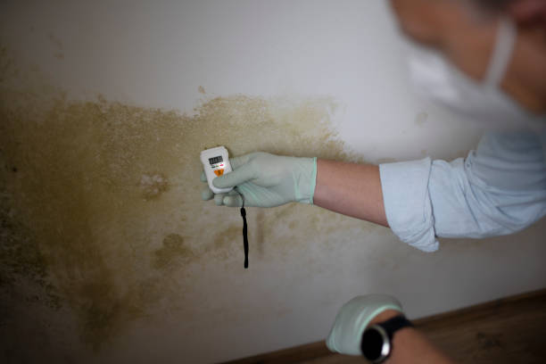 Best Mold Testing  in Fairmount, GA