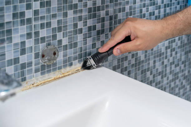 Mold Removal and Inspection in Fairmount, GA