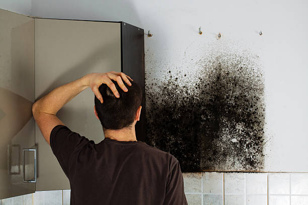 Best Affordable Mold Removal  in Fairmount, GA